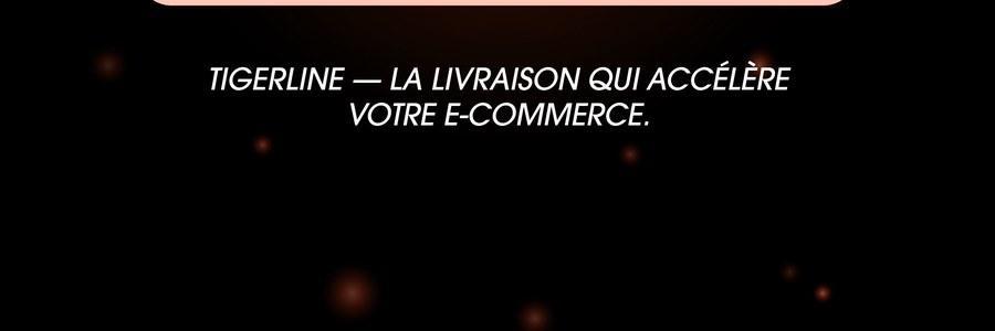 TigerLine � La livraison qui acc�l�re votre e-commerce